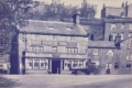 Bay Horse 1920s?
