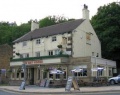 Bay Horse
